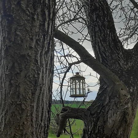 Am Vierkanthof Im Thermenland *