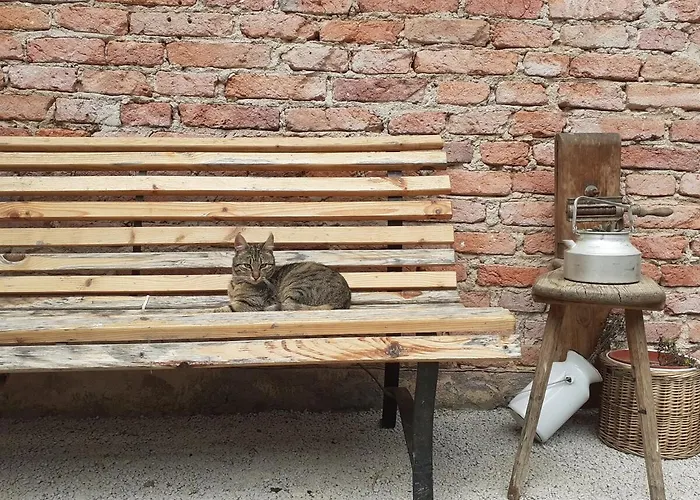 Am Vierkanthof Im Thermenland 巴特布卢毛