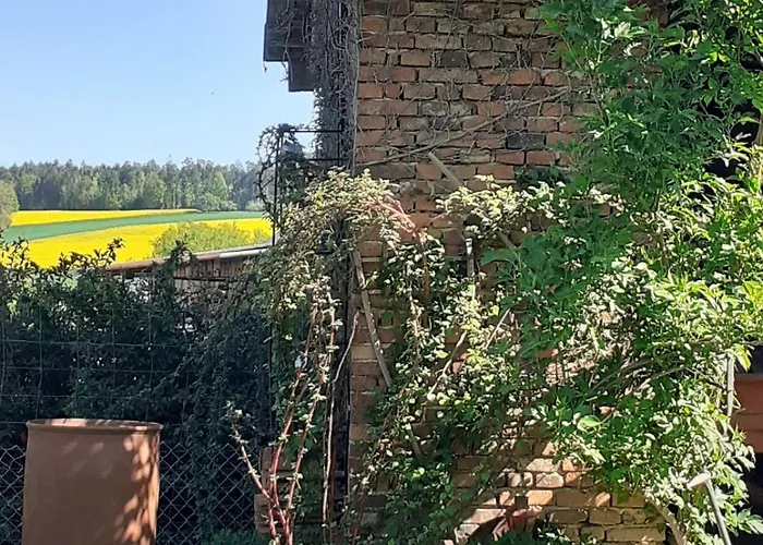 Am Vierkanthof Im Thermenland 巴特布卢毛