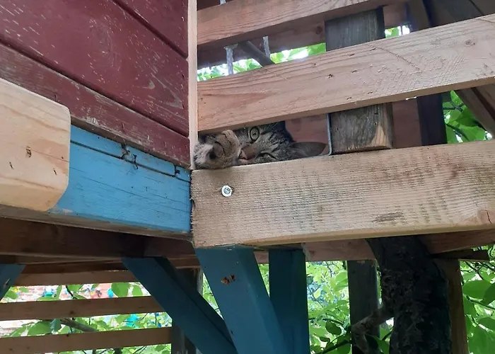 Am Vierkanthof Im Thermenland * 巴特布卢毛