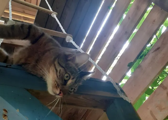 Am Vierkanthof Im Thermenland * باد بلوماو