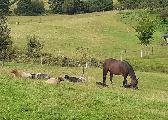 Am Vierkanthof Im Thermenland شقة *
