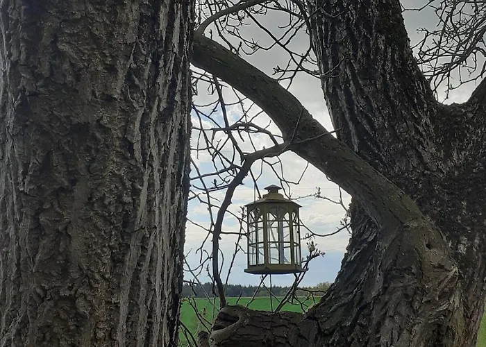 Am Vierkanthof Im Thermenland *