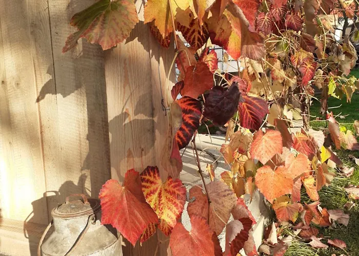 Am Vierkanthof Im Thermenland شقة